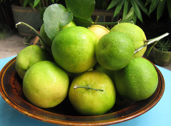 Thai Limes