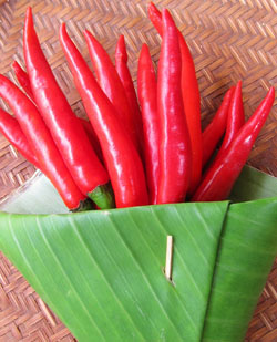 Thai Red Chiles 